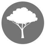 Avantatges forestals