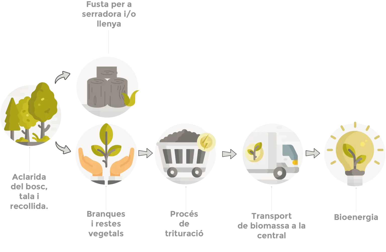 Com funciona la biomassa